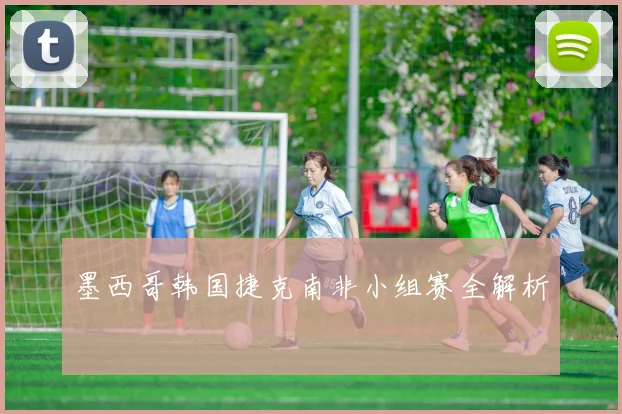 墨西哥韩国捷克南非小组赛全解析